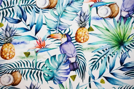 DRESÓWKA COCONOUT TOUCAN