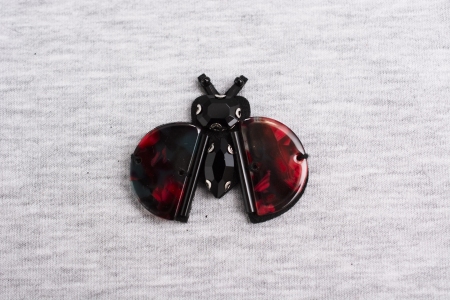APLIKACJA LADYBUG