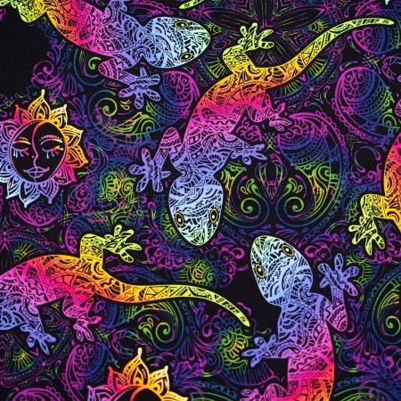 DRESÓWKA TĘCZOWY KAMELEON