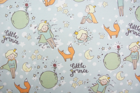 DRESÓWKA LITTLE PRINCE