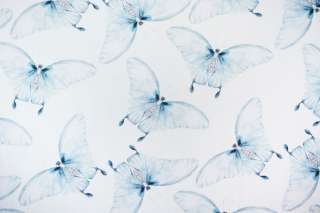 DRESÓWKA BLUE BUTTERFLY
