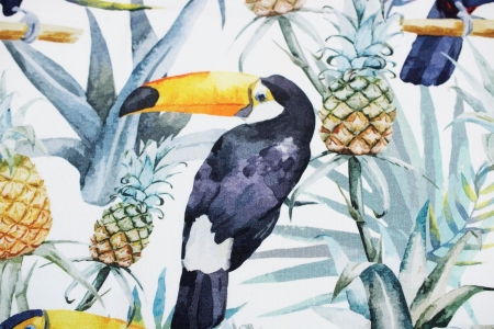 DRESÓWKA TOUCAN & PINEAPPLE