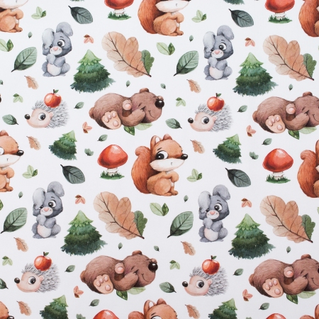 DRESÓWKA LITTLE AUTUMN ANIMALS