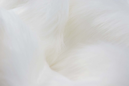 Wysokiej jakości użytkowania tkanina futrzana w pięknym ecru kolorze.