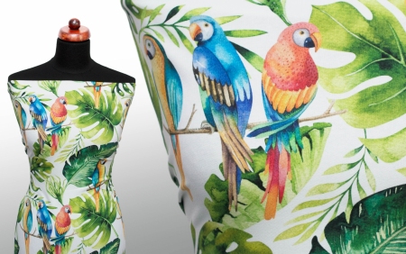 DRESÓWKA COLORFUL PARROTS