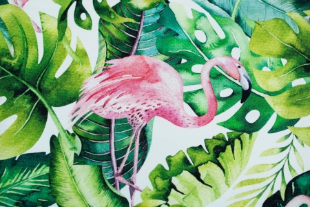 DRESÓWKA FLAMINGO & MONSTERA