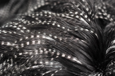 Wysokiej jakości użytkowania tkanina futrzana z czarno-białym włosem.
